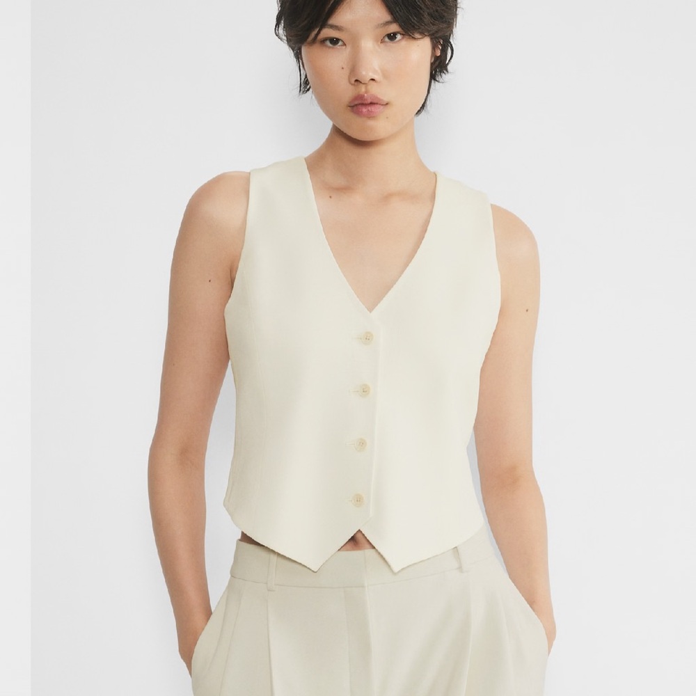 Babaton Aritzia Deniro Vest